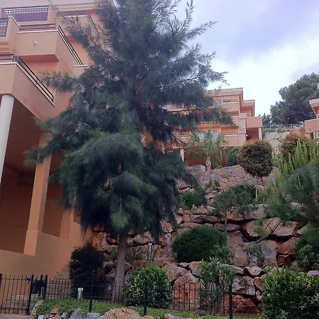 Jacaranda - Serviden Pedreguer